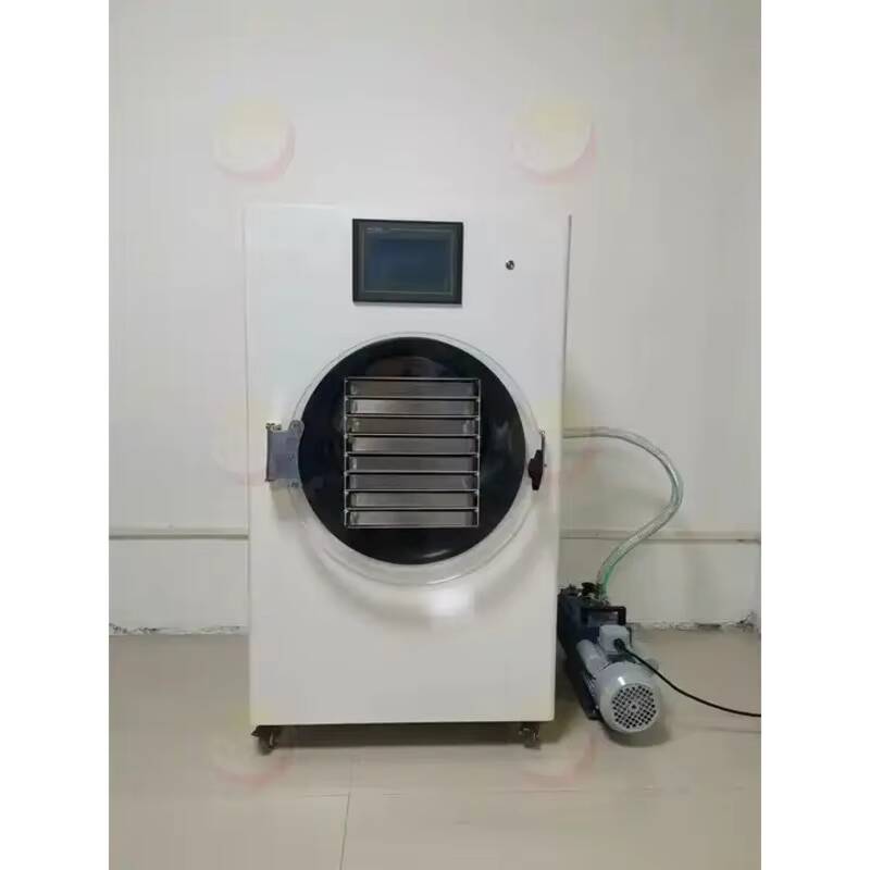 Vacuum Chamber Small - Gefriertrocknungsmaschine Kleine Vakuumlabor Gefriertrocknungsmaschine Heimgebrauch Mini-Gefriertrocknermaschine