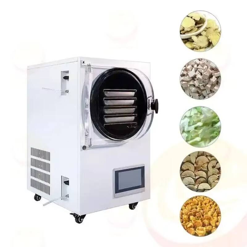 Gefriertrocknungsmaschine Klei – Vacuum Chamber Small Bewertung und Preis