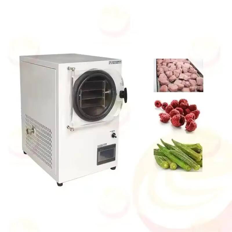 Gefriertrocknungsmaschine Klei – Vacuum Chamber Small Bewertung und Preis