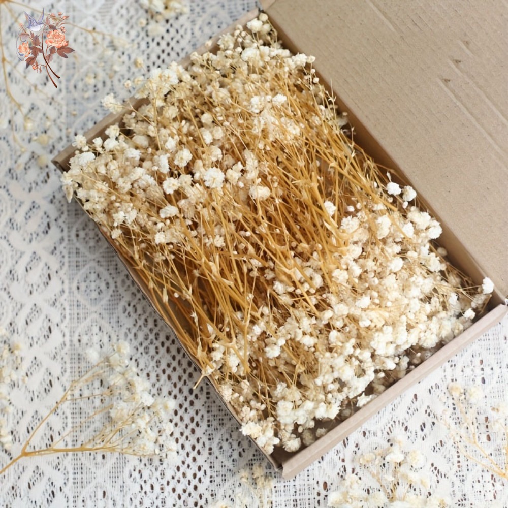 100 Stück Mini Getrocknete Sch – Resin Craft Ideas Bewertung und Preis